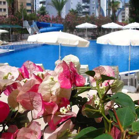 Simply Fine Alize (adults Only) 2* ألانيا